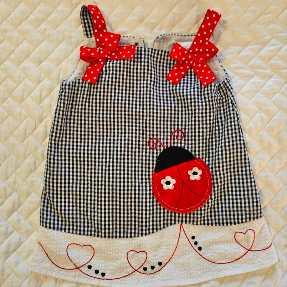 🐞 Ladybug Gingham Dress 🐞